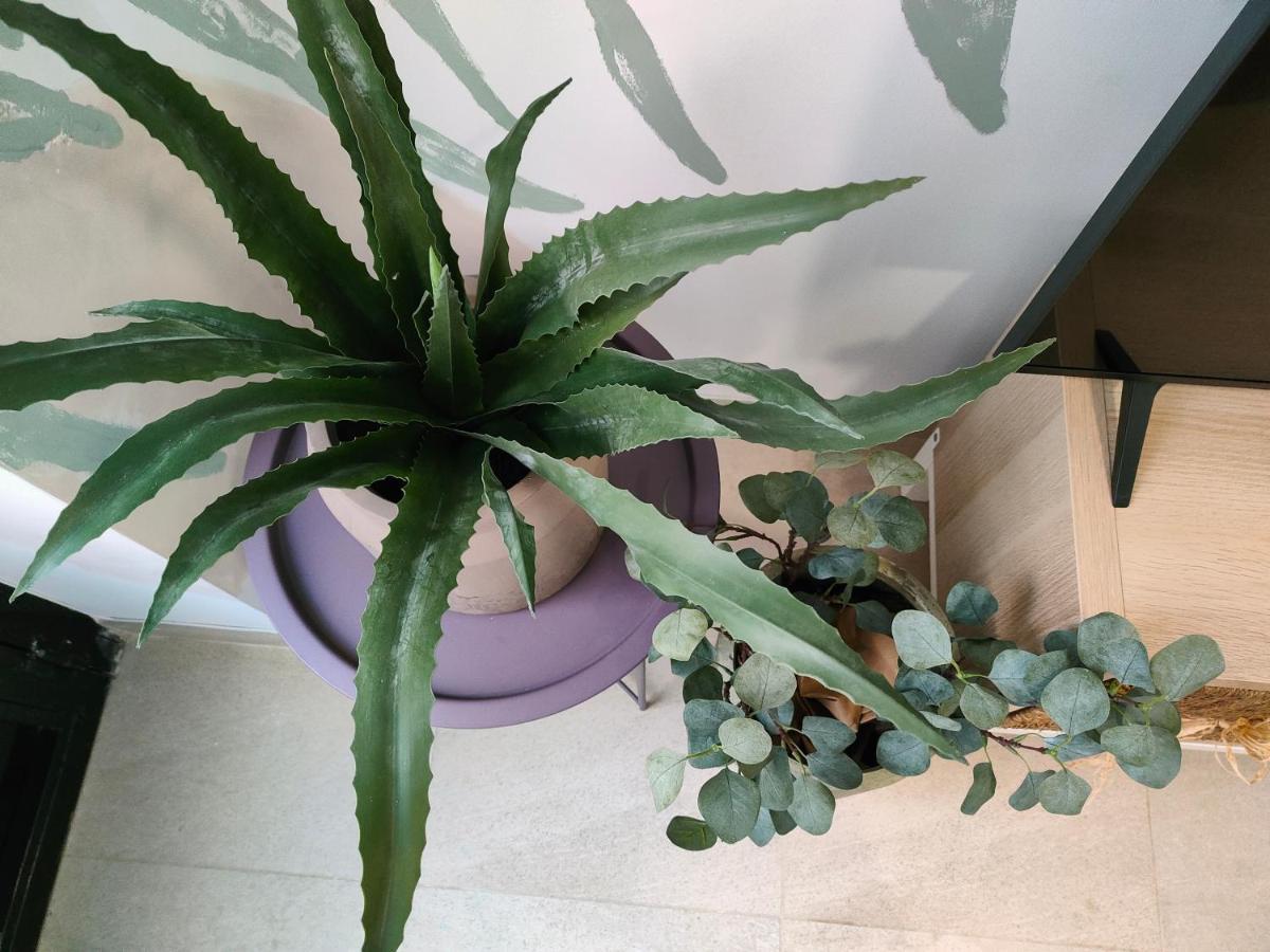 Hola Apartament Alicante Luaran gambar
